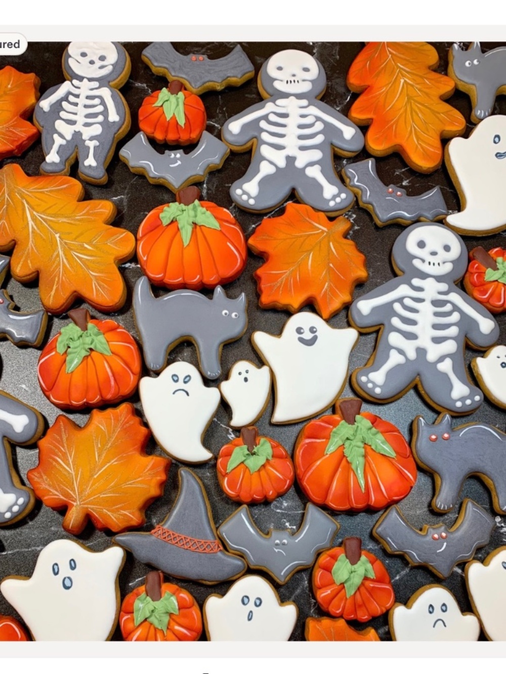 5-Piece Halloween Metal Cookie Cutter Set Witch Hat, Bat, Pumpkin, Cat, Ghost